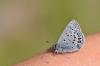 361414 – Photo : C.gager – France (73)